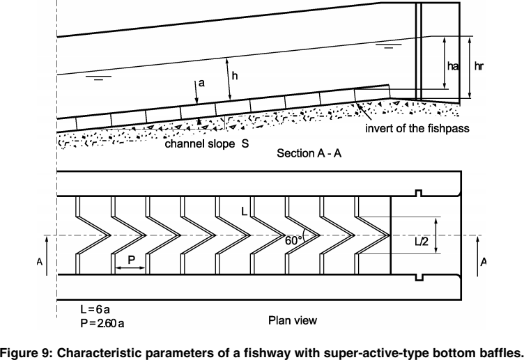 Characteristics of a superactive baffles fishway